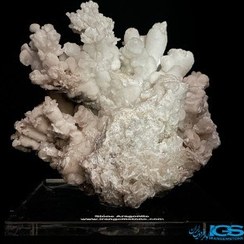 تصویر سنگ آراگونیت سفید کلیکسیونی طرح مرجانی aragonite 