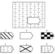 تصویر نمونه اجرا شده آزمون هوش ریون 