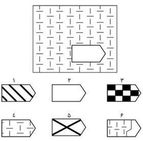 تصویر نمونه اجرا شده آزمون هوش ریون 