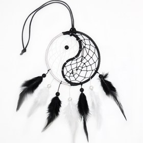 تصویر دریم کچر یین و یانگ 