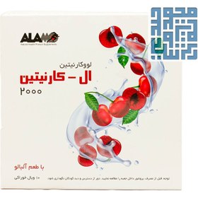 تصویر ویال خوراکی ال کارنیتین 2000 آلامو 10 عدد - طعم: بلوبری - تعداد در بسته: 10 Alamo L Carnitine 2000 10 Vials