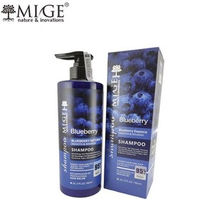 تصویر شامپو بلوبری میگه ۷۸۰‌میل Mige MIGE Hair Care Blueberry Shampoo-780ml