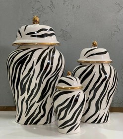 تصویر جینجرجار زبرا 