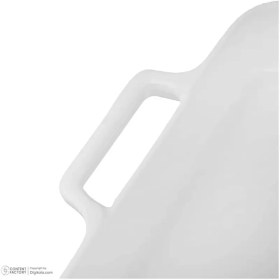 تصویر دیس دو دسته دیپلمات 