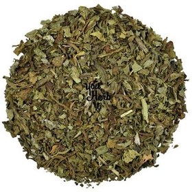 تصویر علف گاوزبان 