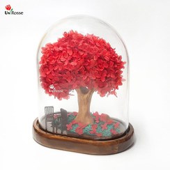 تصویر درختچه هورتانسیا جاودان قرمز 