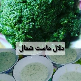 تصویر دلال ماست تازه شمال ازنوع پرسیر با سبزیهای معطر شمال 