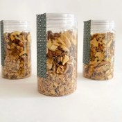 تصویر گرانولامیوه ای 