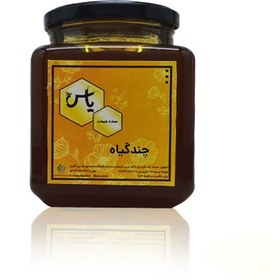 تصویر عسل چهل گیاه یک کیلویی 