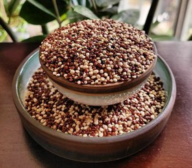 تصویر کینوا رنگی خارجی 