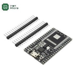 تصویر برد توسعه وای فای NodeMCU با مبدل CP2102 (بدون هسته ESP) 