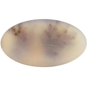 تصویر سنگ شجر پارلا گوهر کد 4081 