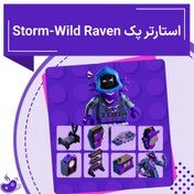 تصویر استارتر پک Storm-Wild Raven 