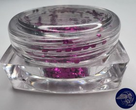 تصویر پولکی 