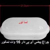 تصویر چراغ بیضی (تونلی) IP65 سقفی 16 وات برند نمانور 