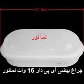 تصویر چراغ بیضی (تونلی) IP65 سقفی 16 وات برند نمانور 