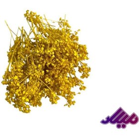 تصویر گل خشک درختی زرد G95 