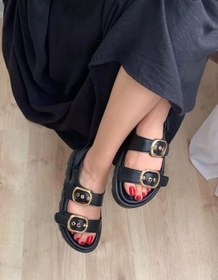 تصویر دو سگک لیدی کد:۶۶۱۷ 