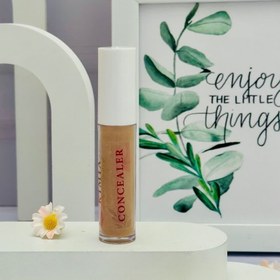 تصویر کانسیلر 