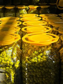 تصویر زیتون متوسط 