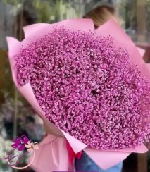 تصویر دسته گل ژیپسوفیلا صورتی 