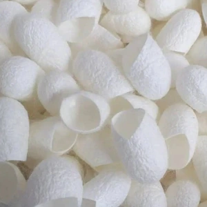 تصویر فروشگاه توتیا سبز