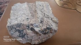 تصویر فسیل سنگ ماموت 