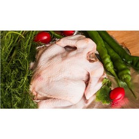 تصویر طرح مرغ و سبزیجات – ۱۹ 