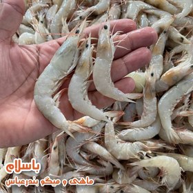 تصویر میگو پلویی سایز 110 - 130 تازه 