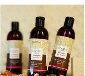 تصویر شامپو گیاهی مناسب موهای خشک و آسیب دیده 300 میلی گرم L'DORA HERBAL SHAMPOO FOR DRY AND DAMAGED HAIR