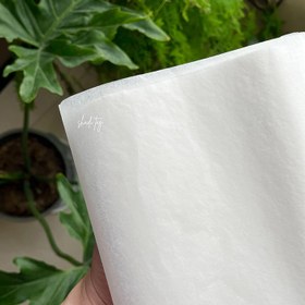 تصویر کاغذ پوستی 