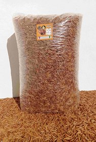 تصویر میلورم خشک ۶ کیلویی mealworm 6kg