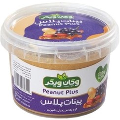 تصویر پینات پلاس(کره بادام زمینی شیرین)300گرم وگان ویگر 