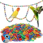 تصویر زنجیر پرنده جاوا 112 حلقه - yukaparrot 