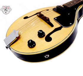 تصویر ماندولین Valencia-MD30VT-CE 