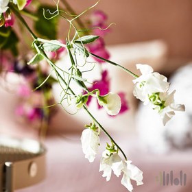 تصویر گل خشک معطر ایکیا مدل JAMNMOD 