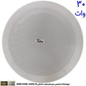 تصویر اسپیکر سقفی تابا 30 وات TABA TS 30W 