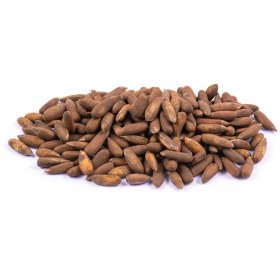 تصویر چلغوز خام 