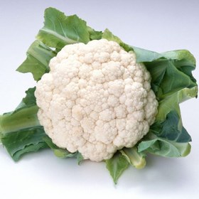 تصویر گل کلم سه کیلو گرم 