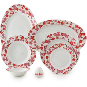 تصویر سرویس چینی زرین 6 نفره غذاخوری توکیو (28 پارچه) ا Zarin Iran ItaliaF Tokyo 28 Pieces Porcelain Dinnerware Set Zarin Iran ItaliaF Tokyo 28 Pieces Porcelain Dinnerware Set