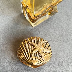 تصویر کلیپس فلزی صدفی 