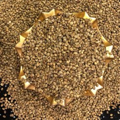 تصویر شاهدانه خام 1000 گرم 