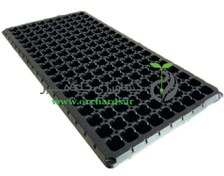 تصویر سینی نشاء 50 سلول ایرانی 