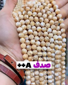 تصویر صدف ++A 
