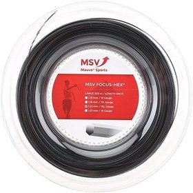 تصویر زه ام اس وی | Focus HEX 1.23 