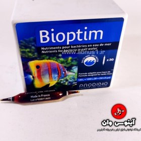 تصویر باکتری موجود در دریا bioptim prodibio 