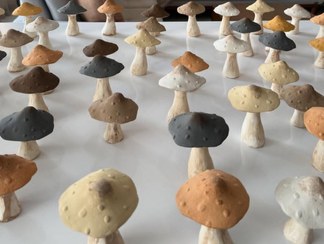 تصویر قارچ - کرم 