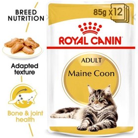 تصویر تغذیه نژاد گربه فیلین ماین (غذای مرطوب) برند royal canin Feline Breed Nutrition Maine (WET FOOD )