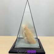 تصویر جماریوم هرمی کلسیت(موزه‌ای) 