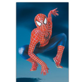 تصویر روفرشی کشدار spider man 